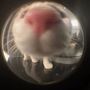 Meet your Posher, Ajna